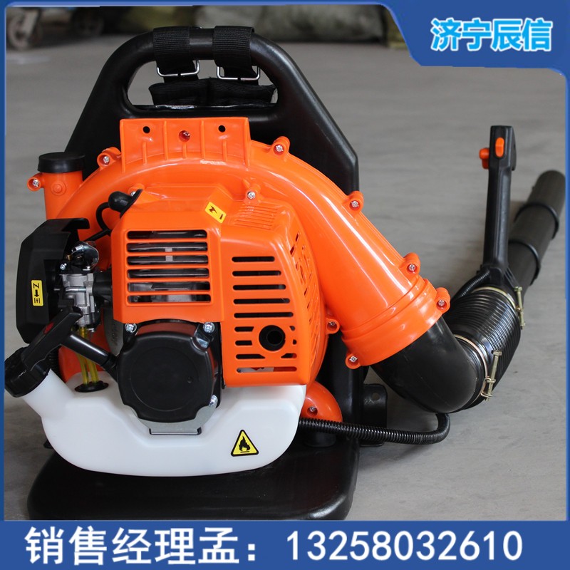 背負式吹風機 四沖程路面吹雪機 園林工程樹葉吹掃機