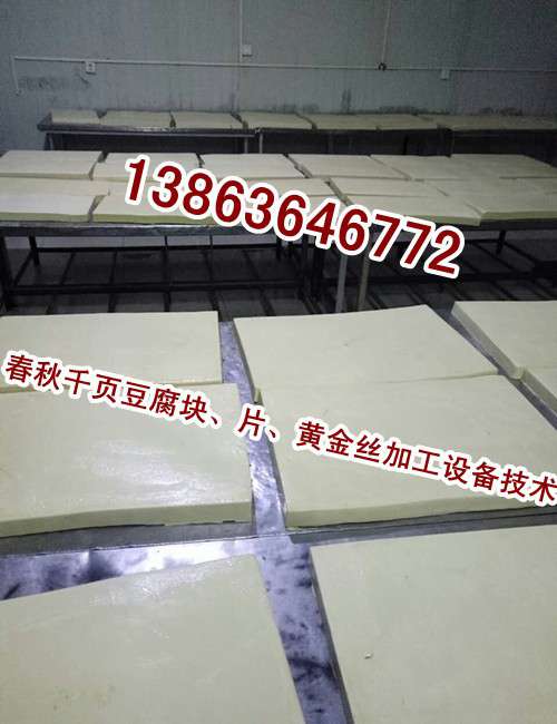要想把千頁豆腐做好，選好千頁豆腐設備和千頁豆腐技術工藝，二者缺一不可