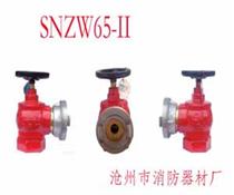 普通室內(nèi)消火栓  SNJ65型室內(nèi)消火栓 滄州鐵獅
