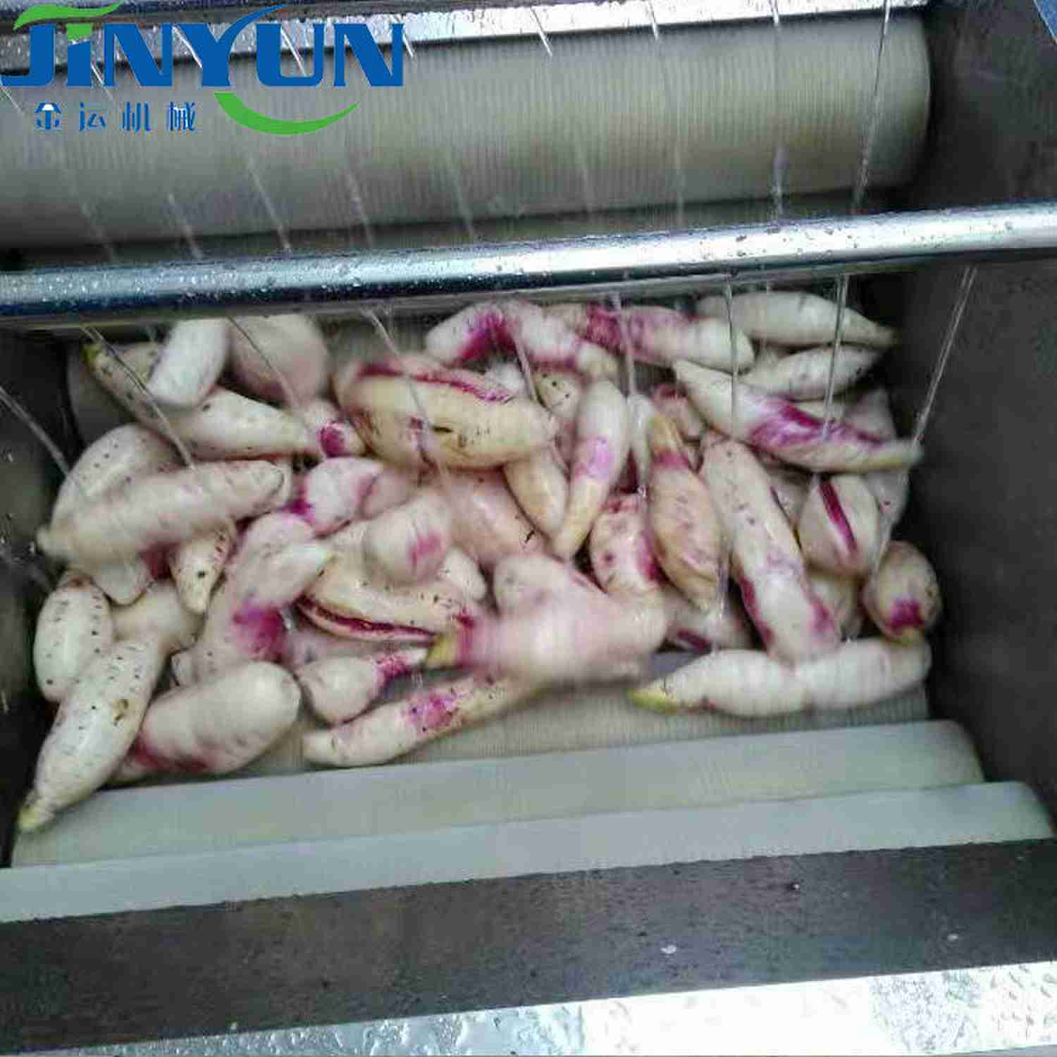 大蔥去皮清洗機(jī)?紅棗去雜清洗機(jī)